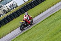 PJ-Motorsport;anglesey-no-limits-trackday;anglesey-photographs;anglesey-trackday-photographs;enduro-digital-images;event-digital-images;eventdigitalimages;no-limits-trackdays;peter-wileman-photography;racing-digital-images;trac-mon;trackday-digital-images;trackday-photos;ty-croes