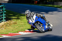 cadwell-no-limits-trackday;cadwell-park;cadwell-park-photographs;cadwell-trackday-photographs;enduro-digital-images;event-digital-images;eventdigitalimages;no-limits-trackdays;peter-wileman-photography;racing-digital-images;trackday-digital-images;trackday-photos