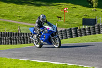 cadwell-no-limits-trackday;cadwell-park;cadwell-park-photographs;cadwell-trackday-photographs;enduro-digital-images;event-digital-images;eventdigitalimages;no-limits-trackdays;peter-wileman-photography;racing-digital-images;trackday-digital-images;trackday-photos