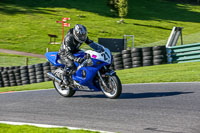 cadwell-no-limits-trackday;cadwell-park;cadwell-park-photographs;cadwell-trackday-photographs;enduro-digital-images;event-digital-images;eventdigitalimages;no-limits-trackdays;peter-wileman-photography;racing-digital-images;trackday-digital-images;trackday-photos