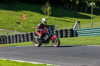 cadwell-no-limits-trackday;cadwell-park;cadwell-park-photographs;cadwell-trackday-photographs;enduro-digital-images;event-digital-images;eventdigitalimages;no-limits-trackdays;peter-wileman-photography;racing-digital-images;trackday-digital-images;trackday-photos