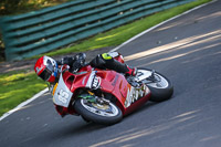 cadwell-no-limits-trackday;cadwell-park;cadwell-park-photographs;cadwell-trackday-photographs;enduro-digital-images;event-digital-images;eventdigitalimages;no-limits-trackdays;peter-wileman-photography;racing-digital-images;trackday-digital-images;trackday-photos