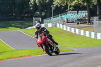 Lower Group Red Bikes