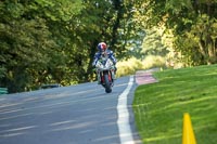 cadwell-no-limits-trackday;cadwell-park;cadwell-park-photographs;cadwell-trackday-photographs;enduro-digital-images;event-digital-images;eventdigitalimages;no-limits-trackdays;peter-wileman-photography;racing-digital-images;trackday-digital-images;trackday-photos