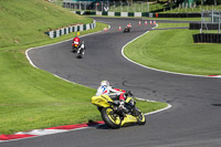 Lower Group Yellow Bikes