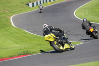 Lower Group Yellow Bikes