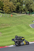 Middle Group Yellow Bikes