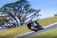 07th-to-9th-January-2019;Phillip-Island;event-digital-images;motorbikes;no-limits;peter-wileman-photography;trackday;trackday-digital-images