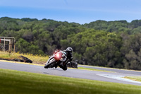 07th-to-9th-January-2019;Phillip-Island;event-digital-images;motorbikes;no-limits;peter-wileman-photography;trackday;trackday-digital-images