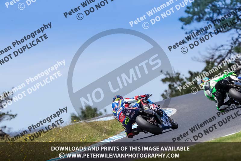 07th to 9th January 2019;Phillip Island;event digital images;motorbikes;no limits;peter wileman photography;trackday;trackday digital images