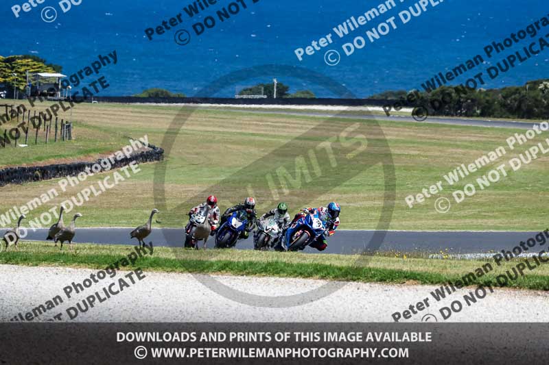 07th to 9th January 2019;Phillip Island;event digital images;motorbikes;no limits;peter wileman photography;trackday;trackday digital images