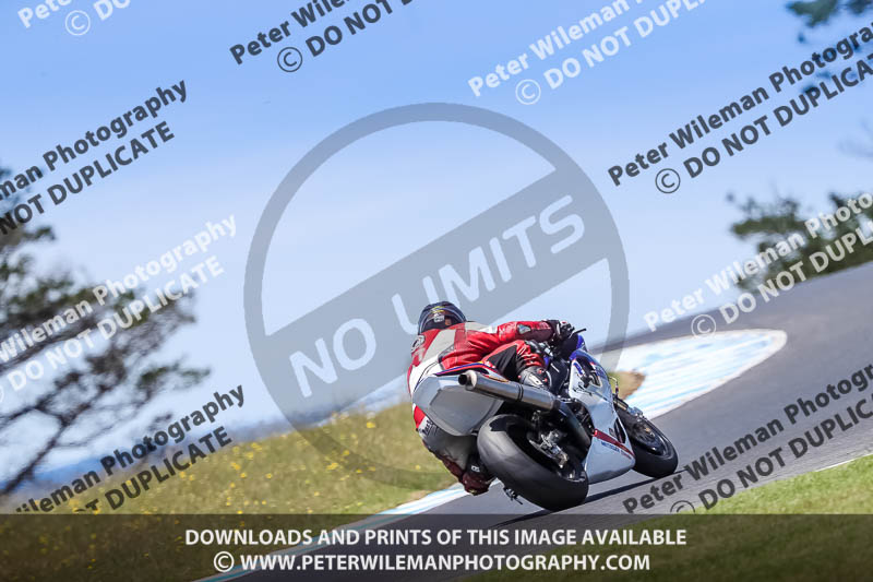 07th to 9th January 2019;Phillip Island;event digital images;motorbikes;no limits;peter wileman photography;trackday;trackday digital images