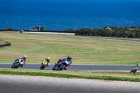 07th-to-9th-January-2019;Phillip-Island;event-digital-images;motorbikes;no-limits;peter-wileman-photography;trackday;trackday-digital-images