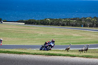 07th-to-9th-January-2019;Phillip-Island;event-digital-images;motorbikes;no-limits;peter-wileman-photography;trackday;trackday-digital-images