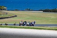 07th-to-9th-January-2019;Phillip-Island;event-digital-images;motorbikes;no-limits;peter-wileman-photography;trackday;trackday-digital-images