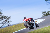 07th-to-9th-January-2019;Phillip-Island;event-digital-images;motorbikes;no-limits;peter-wileman-photography;trackday;trackday-digital-images