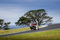 07th-to-9th-January-2019;Phillip-Island;event-digital-images;motorbikes;no-limits;peter-wileman-photography;trackday;trackday-digital-images