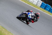 07th-to-9th-January-2019;Phillip-Island;event-digital-images;motorbikes;no-limits;peter-wileman-photography;trackday;trackday-digital-images