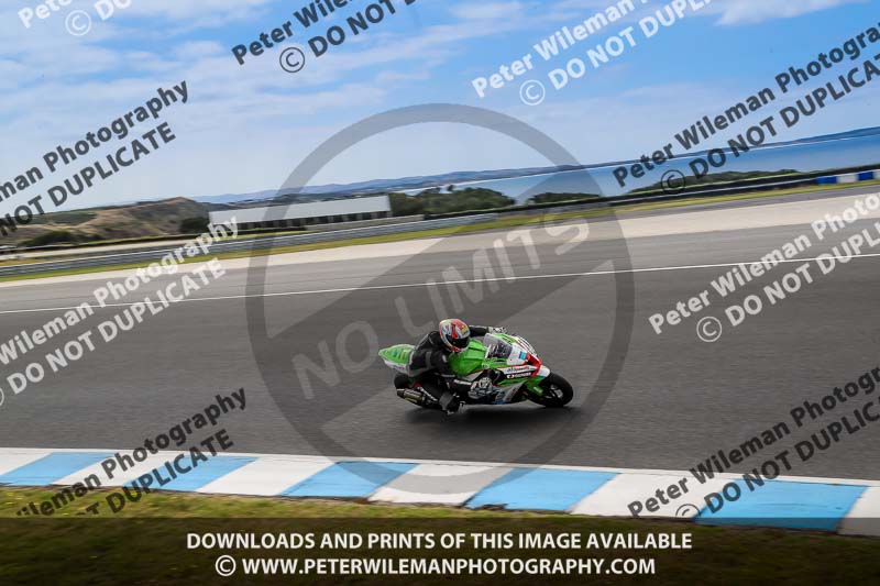 07th to 9th January 2019;Phillip Island;event digital images;motorbikes;no limits;peter wileman photography;trackday;trackday digital images