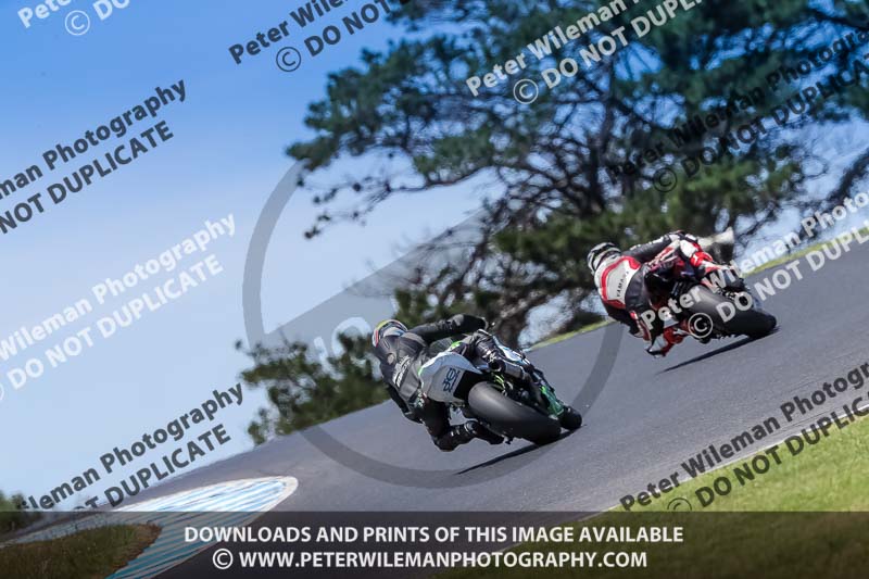 07th to 9th January 2019;Phillip Island;event digital images;motorbikes;no limits;peter wileman photography;trackday;trackday digital images