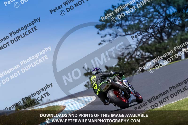 07th to 9th January 2019;Phillip Island;event digital images;motorbikes;no limits;peter wileman photography;trackday;trackday digital images