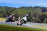 07th-to-9th-January-2019;Phillip-Island;event-digital-images;motorbikes;no-limits;peter-wileman-photography;trackday;trackday-digital-images