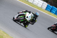 07th-to-9th-January-2019;Phillip-Island;event-digital-images;motorbikes;no-limits;peter-wileman-photography;trackday;trackday-digital-images