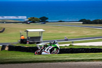 07th-to-9th-January-2019;Phillip-Island;event-digital-images;motorbikes;no-limits;peter-wileman-photography;trackday;trackday-digital-images