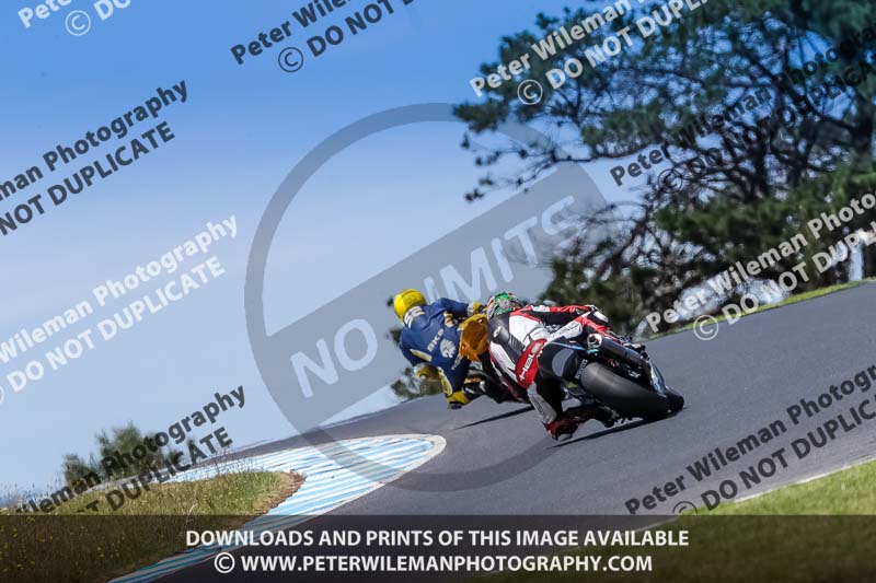 07th to 9th January 2019;Phillip Island;event digital images;motorbikes;no limits;peter wileman photography;trackday;trackday digital images