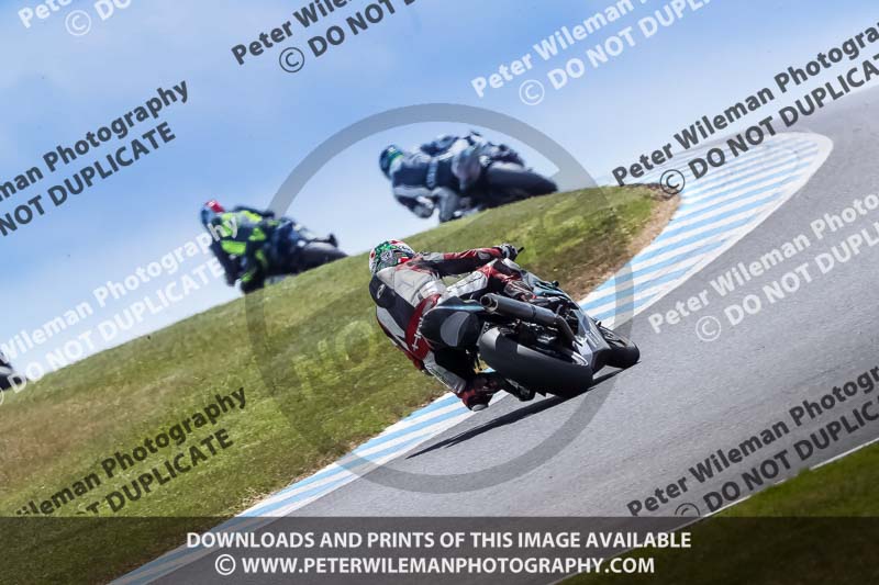 07th to 9th January 2019;Phillip Island;event digital images;motorbikes;no limits;peter wileman photography;trackday;trackday digital images