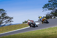 07th-to-9th-January-2019;Phillip-Island;event-digital-images;motorbikes;no-limits;peter-wileman-photography;trackday;trackday-digital-images