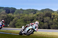 07th-to-9th-January-2019;Phillip-Island;event-digital-images;motorbikes;no-limits;peter-wileman-photography;trackday;trackday-digital-images