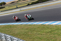 07th-to-9th-January-2019;Phillip-Island;event-digital-images;motorbikes;no-limits;peter-wileman-photography;trackday;trackday-digital-images