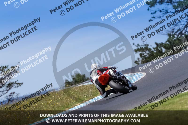 07th to 9th January 2019;Phillip Island;event digital images;motorbikes;no limits;peter wileman photography;trackday;trackday digital images