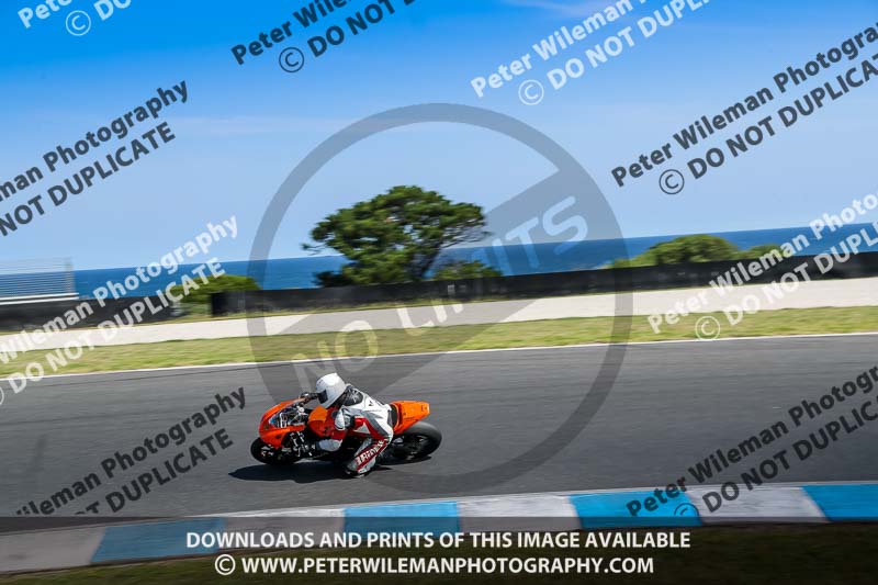 07th to 9th January 2019;Phillip Island;event digital images;motorbikes;no limits;peter wileman photography;trackday;trackday digital images