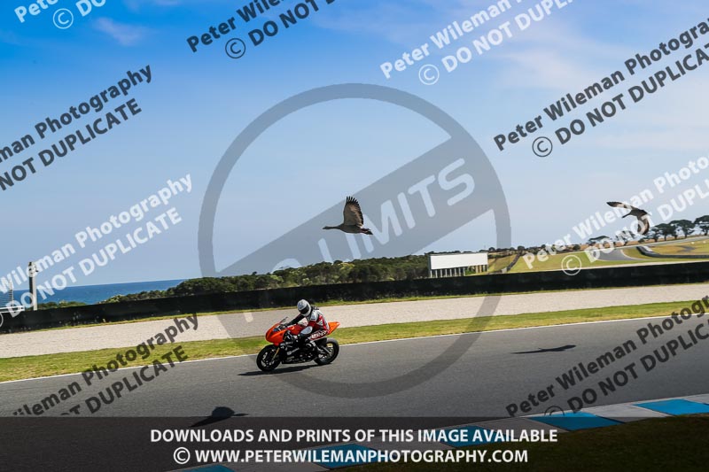 07th to 9th January 2019;Phillip Island;event digital images;motorbikes;no limits;peter wileman photography;trackday;trackday digital images