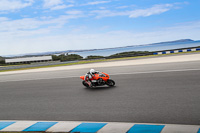 07th-to-9th-January-2019;Phillip-Island;event-digital-images;motorbikes;no-limits;peter-wileman-photography;trackday;trackday-digital-images