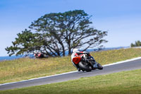 07th-to-9th-January-2019;Phillip-Island;event-digital-images;motorbikes;no-limits;peter-wileman-photography;trackday;trackday-digital-images