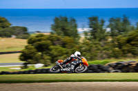 07th-to-9th-January-2019;Phillip-Island;event-digital-images;motorbikes;no-limits;peter-wileman-photography;trackday;trackday-digital-images