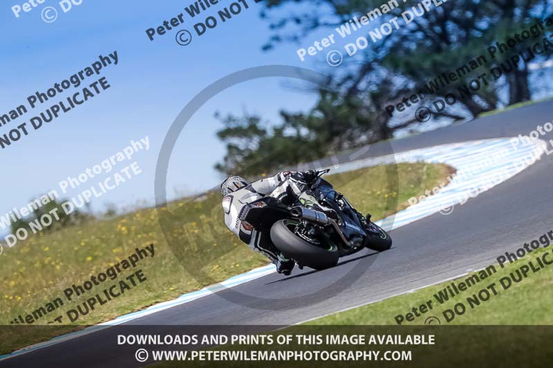 07th to 9th January 2019;Phillip Island;event digital images;motorbikes;no limits;peter wileman photography;trackday;trackday digital images