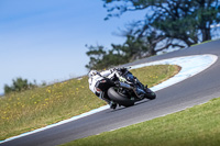 07th-to-9th-January-2019;Phillip-Island;event-digital-images;motorbikes;no-limits;peter-wileman-photography;trackday;trackday-digital-images