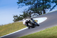 07th-to-9th-January-2019;Phillip-Island;event-digital-images;motorbikes;no-limits;peter-wileman-photography;trackday;trackday-digital-images