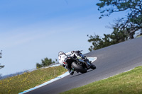 07th-to-9th-January-2019;Phillip-Island;event-digital-images;motorbikes;no-limits;peter-wileman-photography;trackday;trackday-digital-images