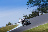 07th-to-9th-January-2019;Phillip-Island;event-digital-images;motorbikes;no-limits;peter-wileman-photography;trackday;trackday-digital-images