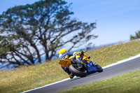 07th-to-9th-January-2019;Phillip-Island;event-digital-images;motorbikes;no-limits;peter-wileman-photography;trackday;trackday-digital-images