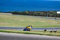 07th-to-9th-January-2019;Phillip-Island;event-digital-images;motorbikes;no-limits;peter-wileman-photography;trackday;trackday-digital-images