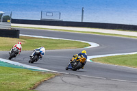 07th-to-9th-January-2019;Phillip-Island;event-digital-images;motorbikes;no-limits;peter-wileman-photography;trackday;trackday-digital-images