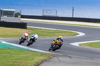 07th-to-9th-January-2019;Phillip-Island;event-digital-images;motorbikes;no-limits;peter-wileman-photography;trackday;trackday-digital-images