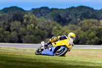 07th-to-9th-January-2019;Phillip-Island;event-digital-images;motorbikes;no-limits;peter-wileman-photography;trackday;trackday-digital-images