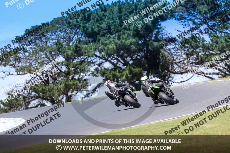 07th to 9th January 2019;Phillip Island;event digital images;motorbikes;no limits;peter wileman photography;trackday;trackday digital images